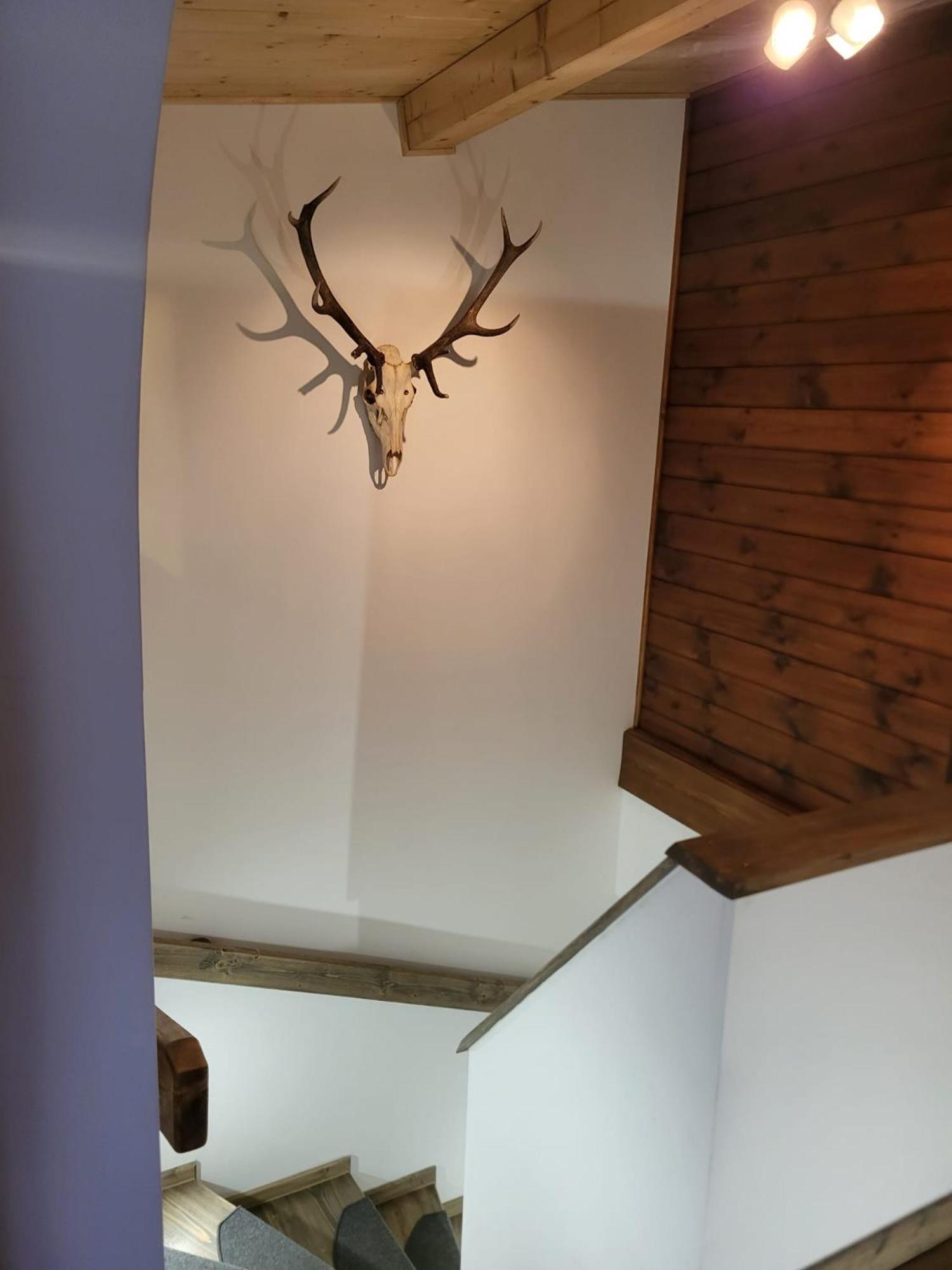 Ferienhaus Probst Wilhelmsthal エクステリア 写真